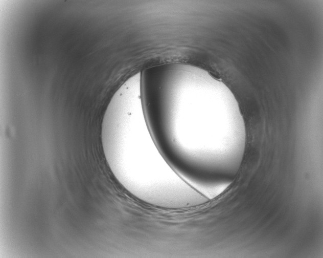 X0000066540041200603171107