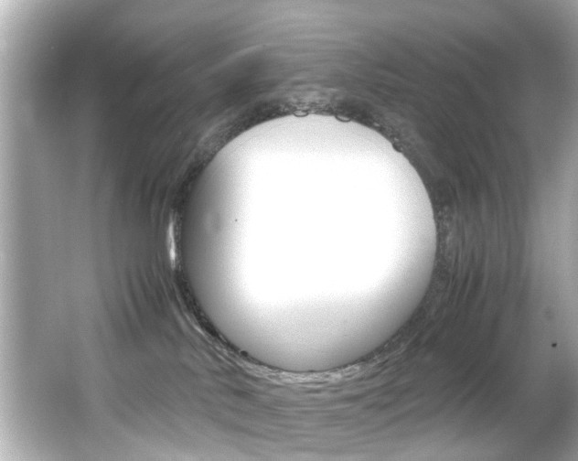 X0000066540042200603171106