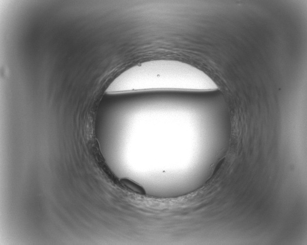 X0000066540043200603171106