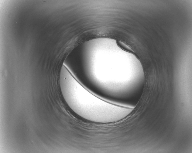 X0000066540044200603171106