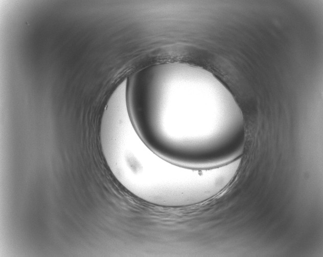 X0000066540045200603171106