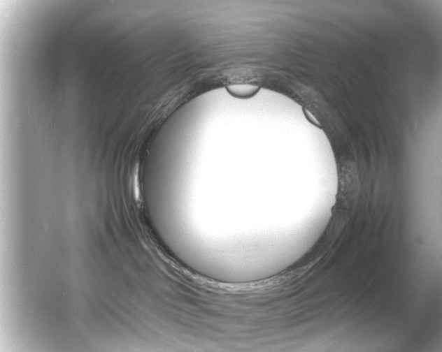 X0000066540046200603171106