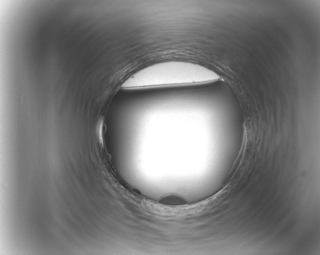 X0000066540047200603171106