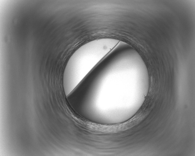 X0000066540048200603171106