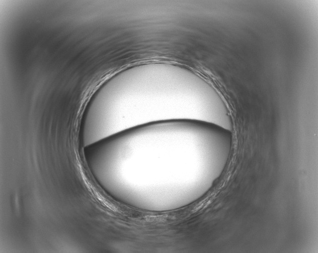 X0000066540049200603171106