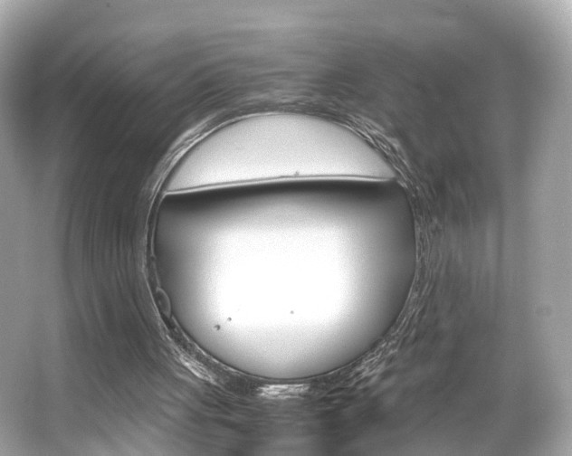 X0000066540051200603171106