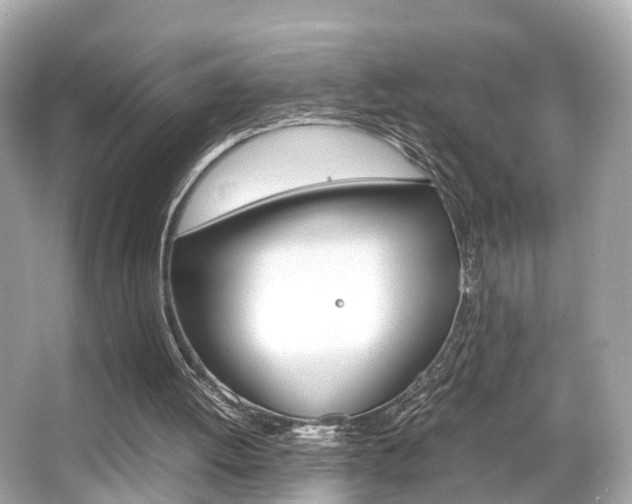 X0000066540052200603171106