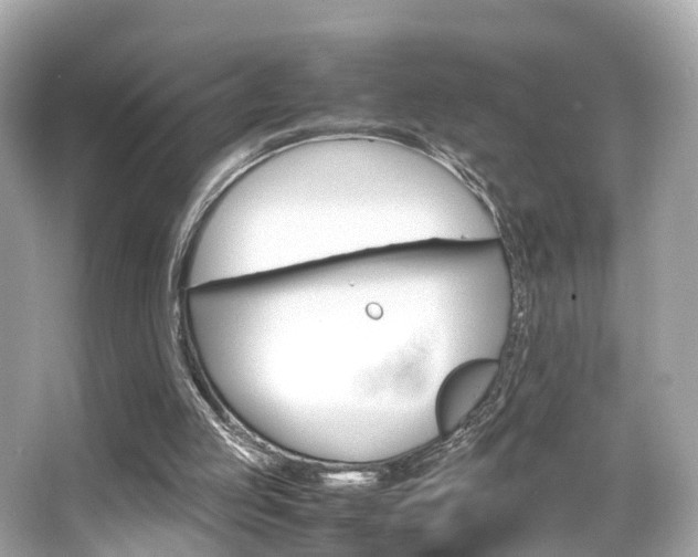 X0000066540053200603171106