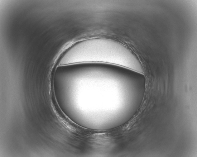 X0000066540054200603171106