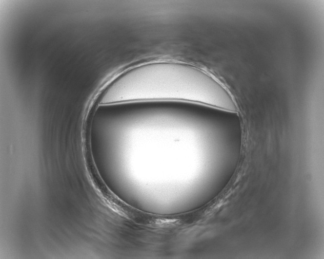 X0000066540055200603171106