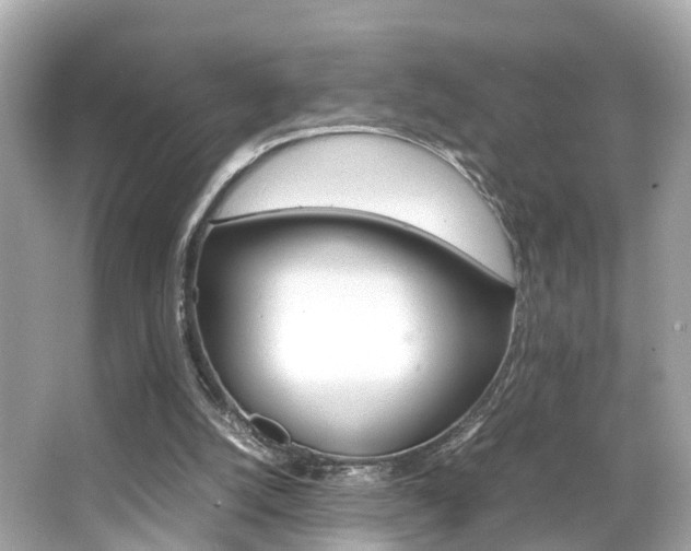 X0000066540056200603171106