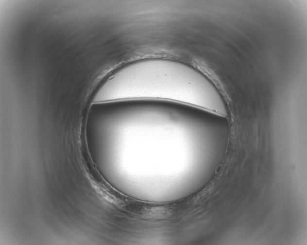 X0000066540058200603171106