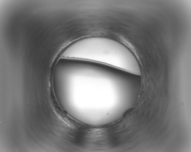 X0000066540059200603171106