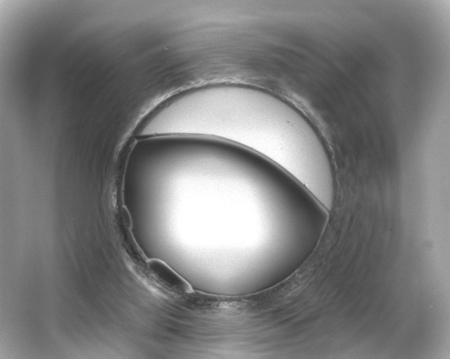 X0000066540060200603171106