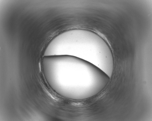 X0000066540061200603171106