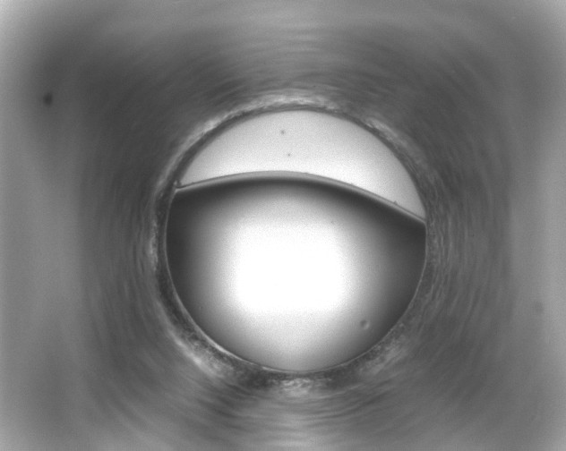 X0000066540064200603171106