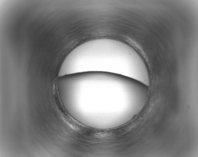 X0000066540065200603171106