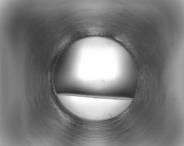 X0000066540066200603171106