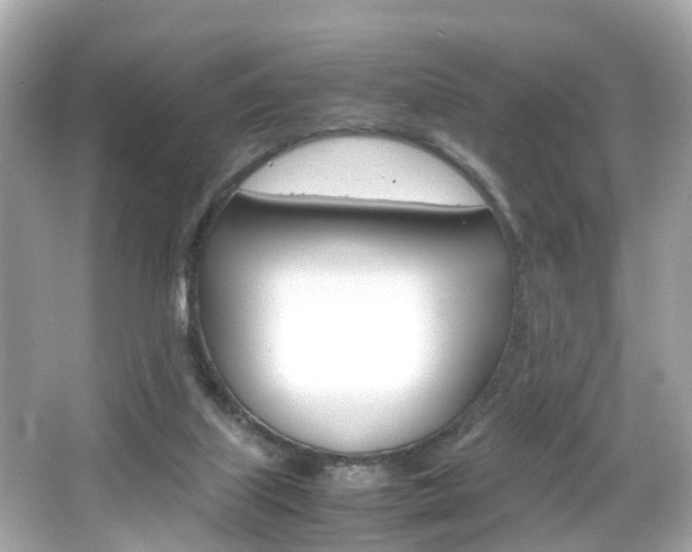 X0000066540067200603171106