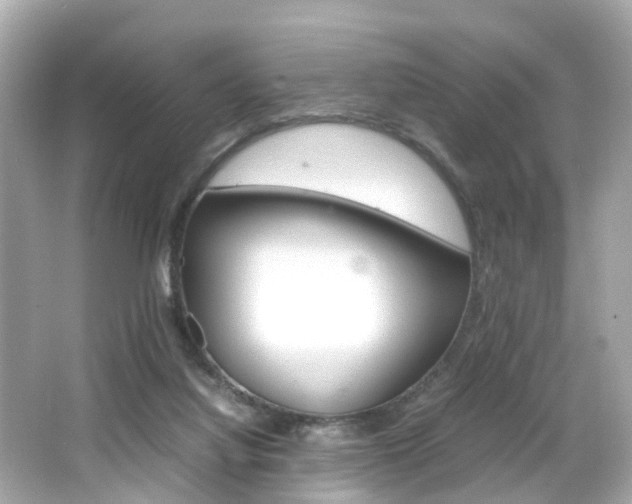 X0000066540068200603171106