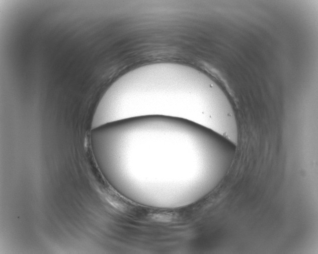 X0000066540069200603171106