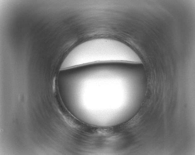 X0000066540070200603171106