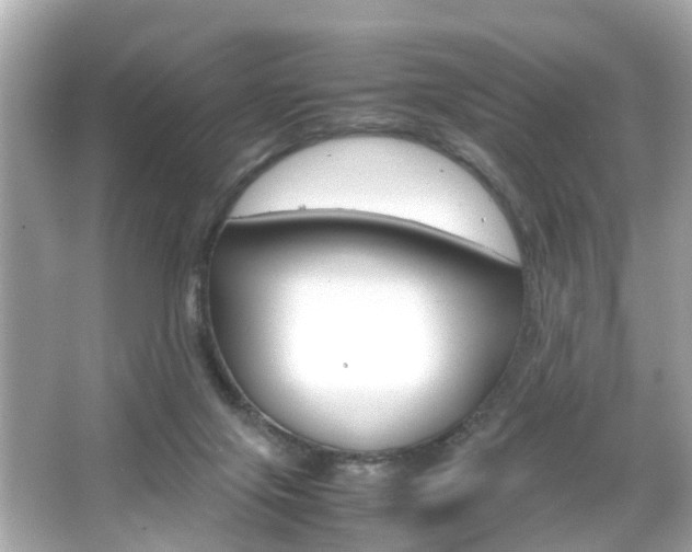 X0000066540071200603171106