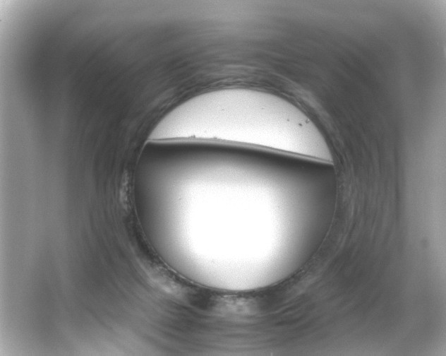 X0000066540073200603171106