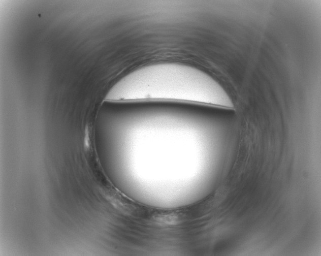 X0000066540075200603171106