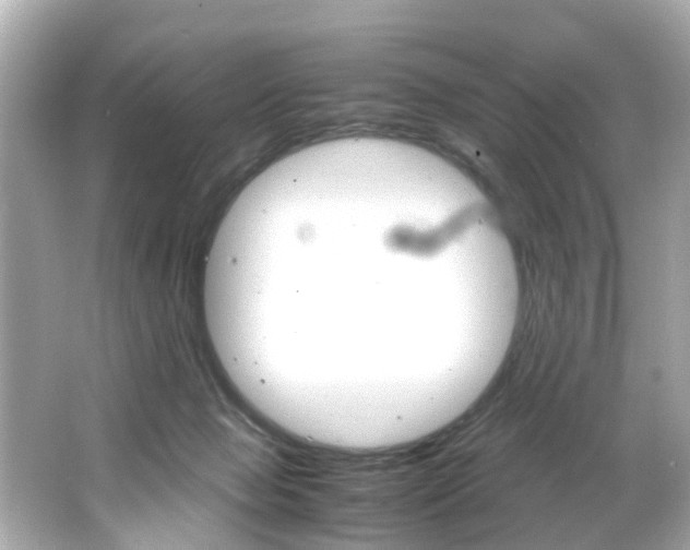 X0000066540077200603171106