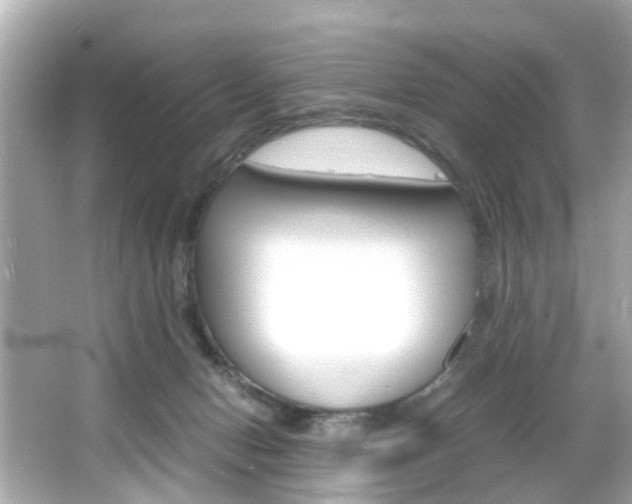 X0000066540078200603171106