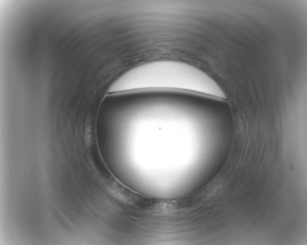 X0000066540080200603171106