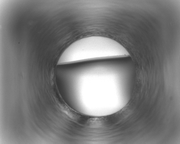 X0000066540082200603171106