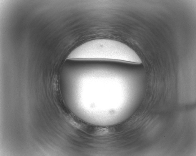 X0000066540083200603171106