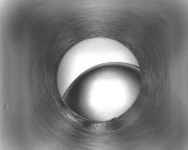 X0000066540084200603171106