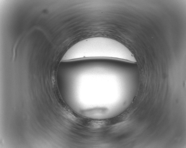 X0000066540085200603171106