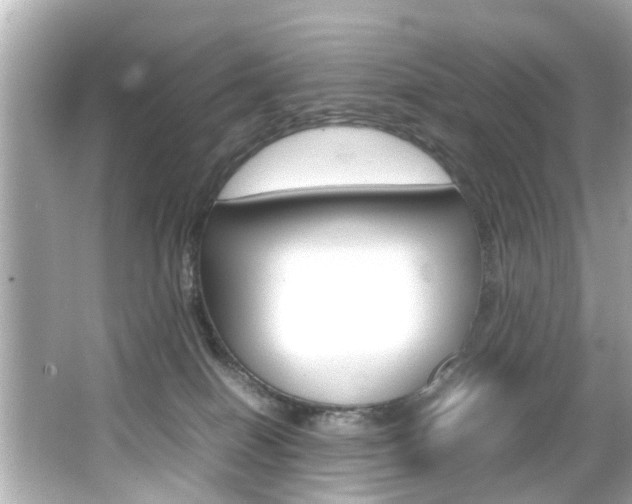 X0000066540086200603171106