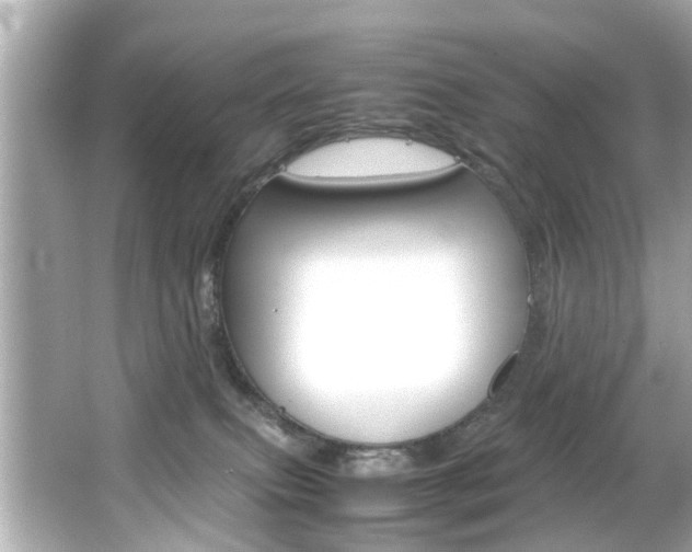 X0000066540087200603171106