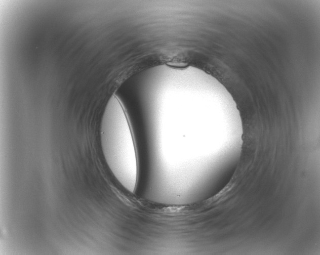 X0000066540090200603171106