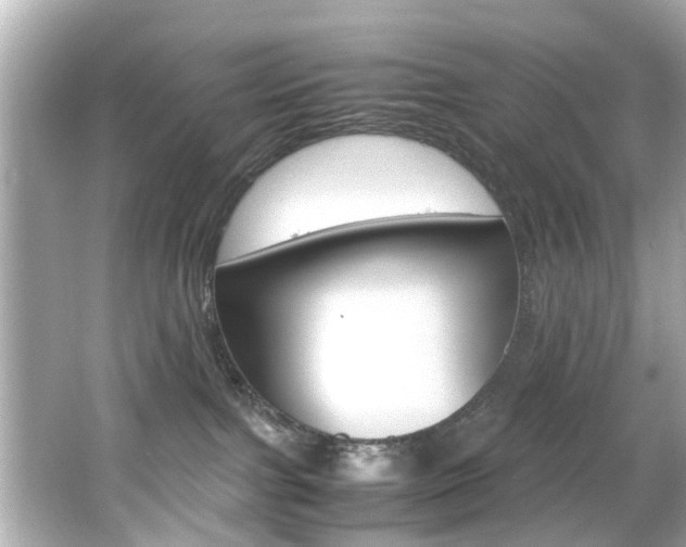 X0000066540091200603171106