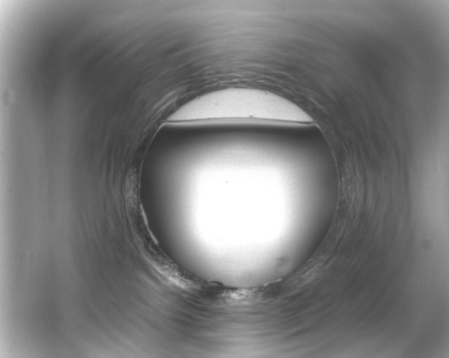 X0000066540092200603171106