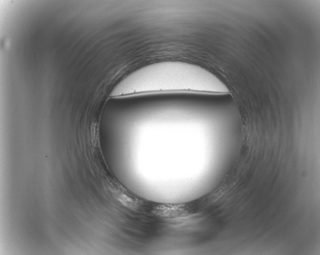 X0000066540093200603171106