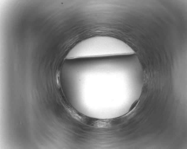 X0000066540094200603171106