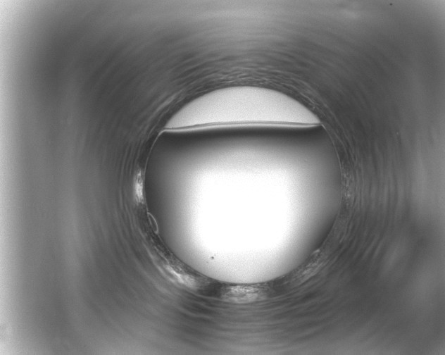 X0000066540095200603171106