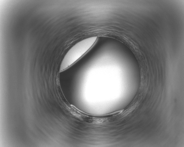 X0000066540096200603171106