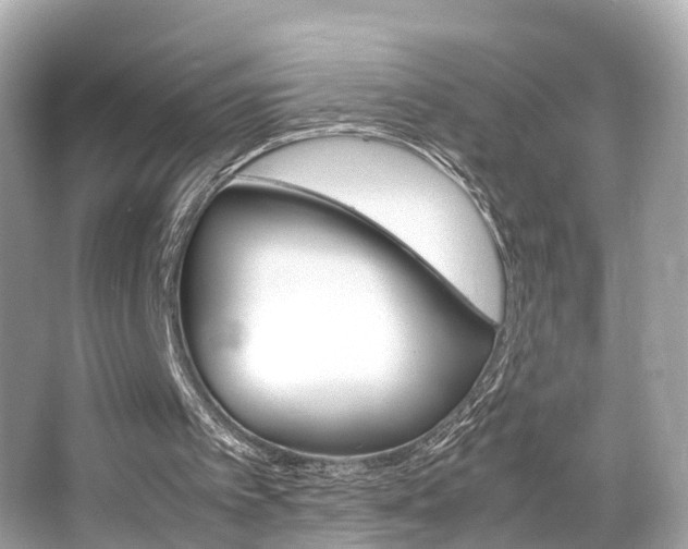 X0000066540097200603171106