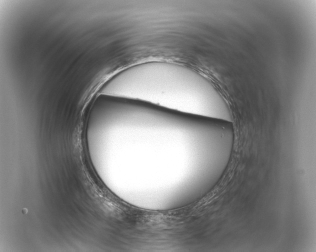 X0000066540098200603171106