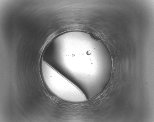 X0000066540099200603171106