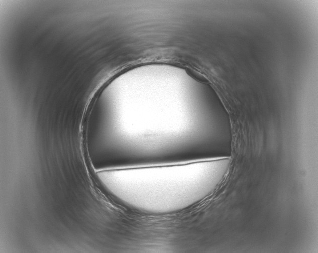 X0000066540100200603171106