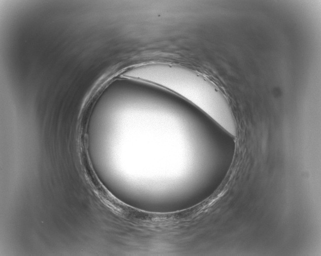 X0000066540101200603171105